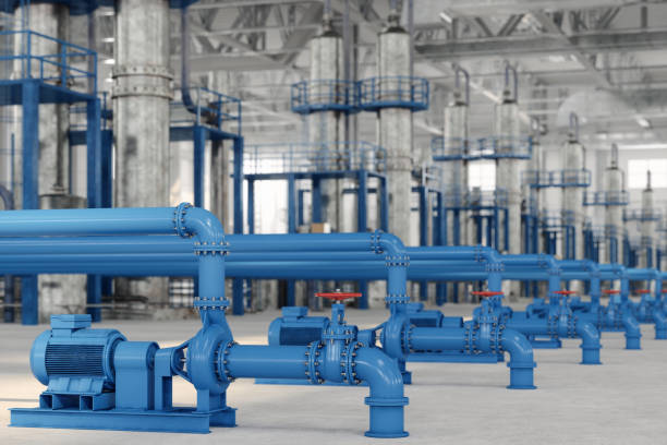 Best Local Plumber Services  in Round Lake Beach, IL